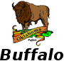 buffalo