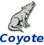 coyote